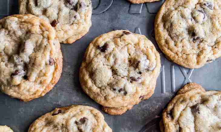 How to make fast cookies in house conditions